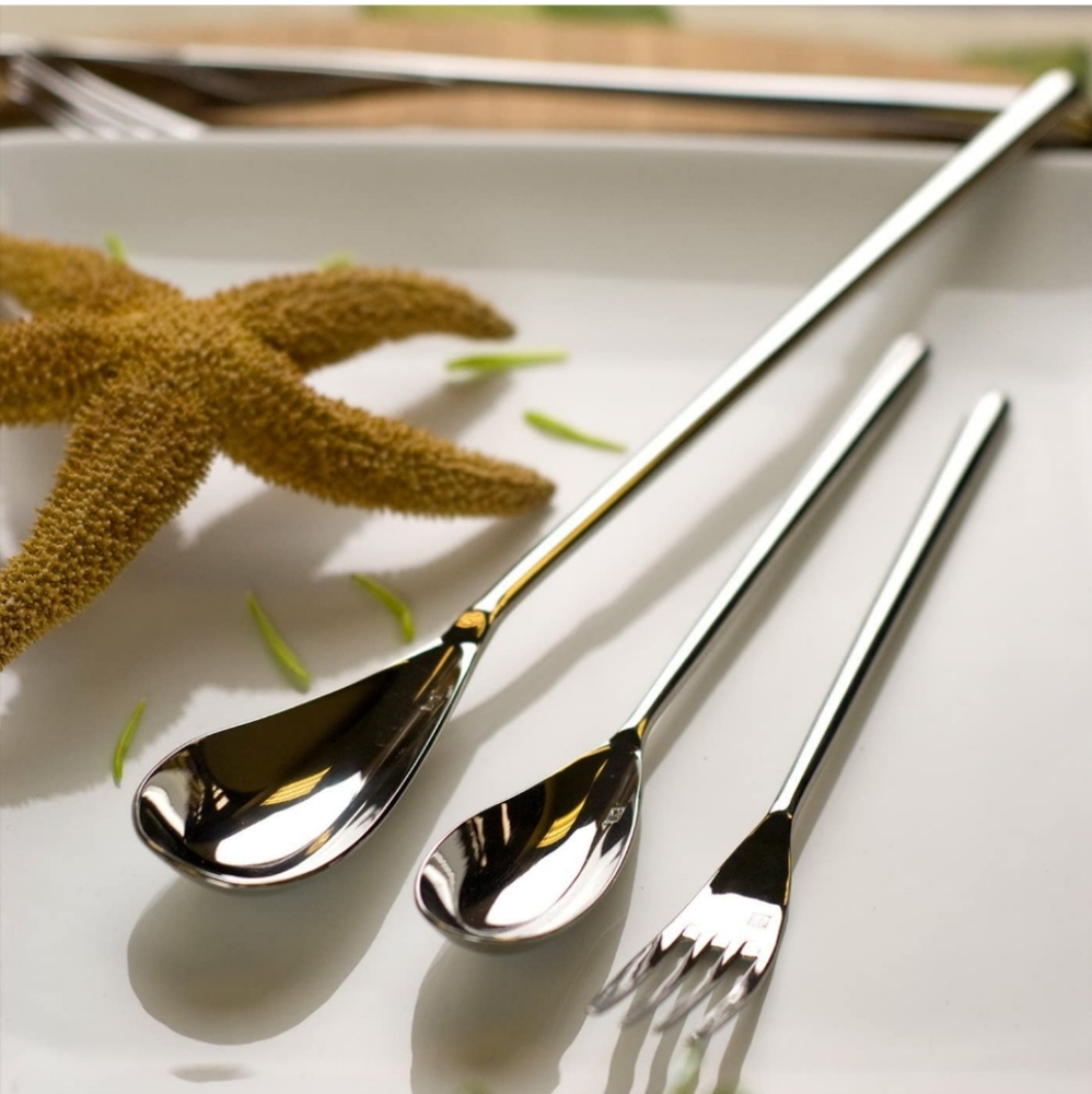 NIB Fortessa Dragonfly 18/10 Stainless Steel Flatware 5 Piece Place Setting